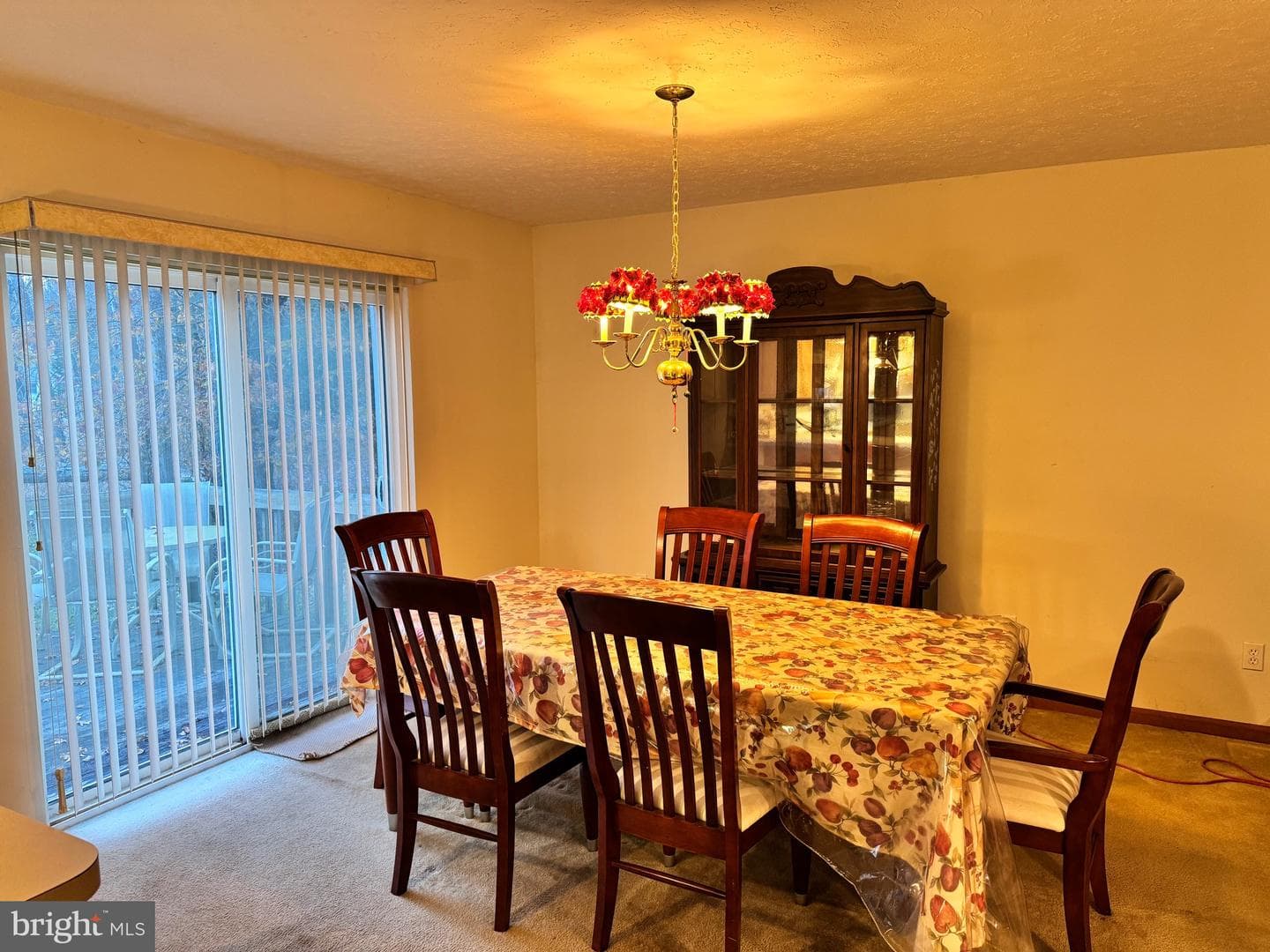 1145 Chickadee Drive photo 8