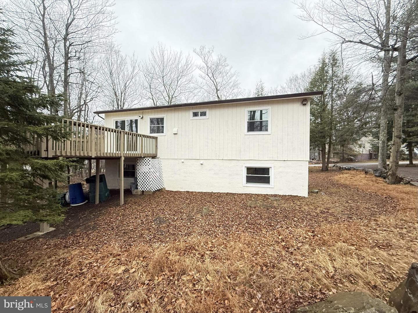 8066 Red Squirrel Drive photo 17