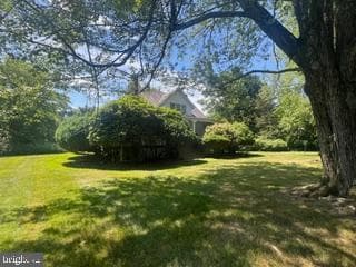 339 E Brown Street photo 7