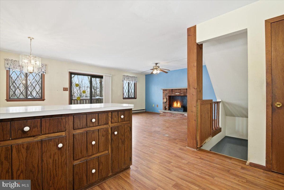 704 Rainbow Terrace photo 23