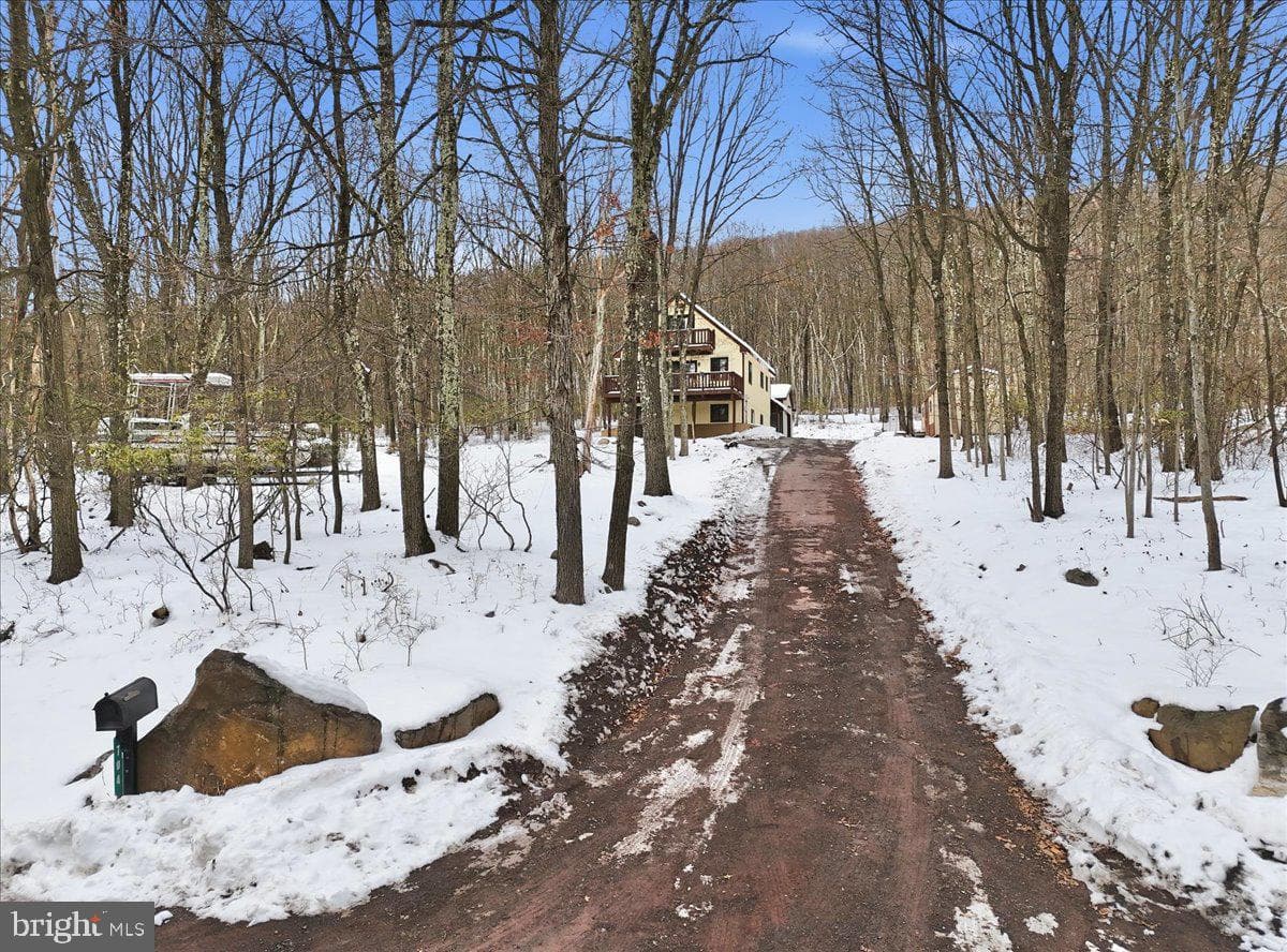 704 Rainbow Terrace photo 63