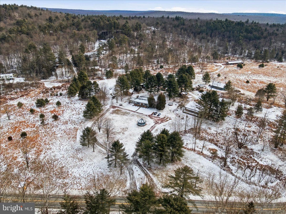 159 Colony Village photo 38