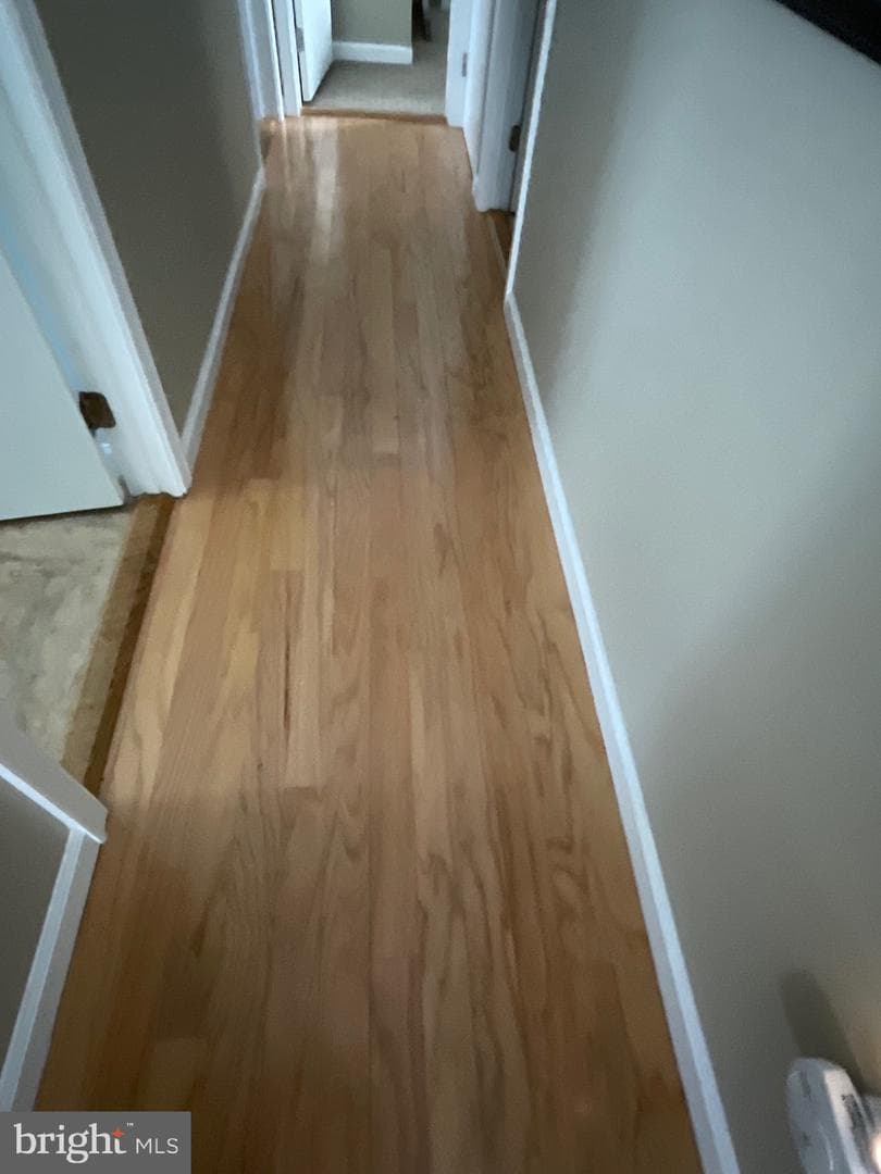 302 Viho Court photo 35