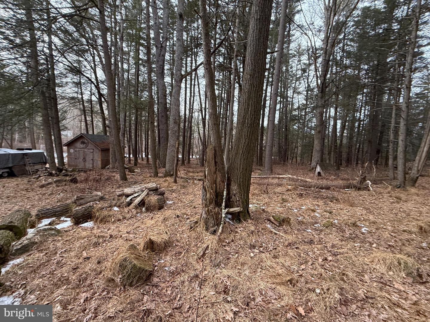 4560 Route 447 photo 17