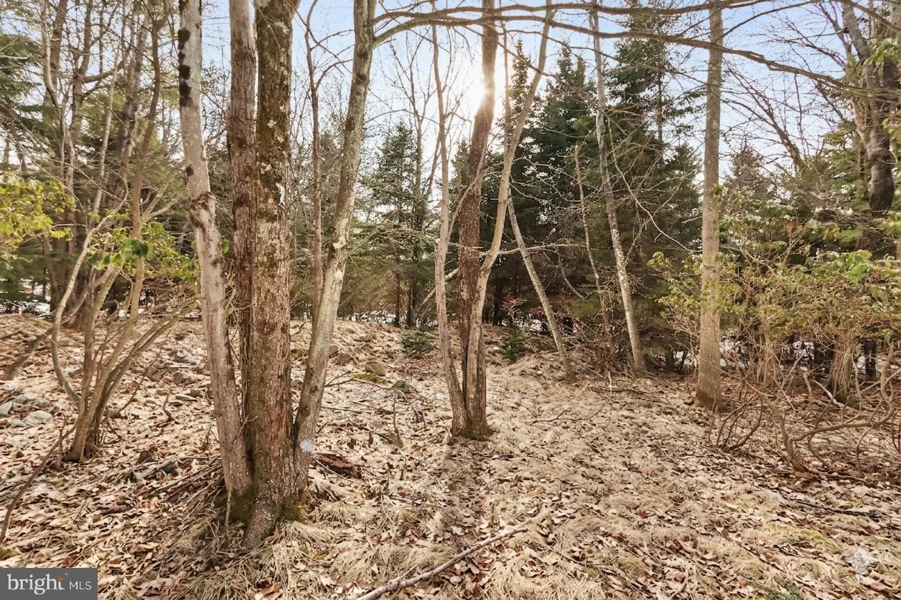 6522 Runnymead Lane photo 24