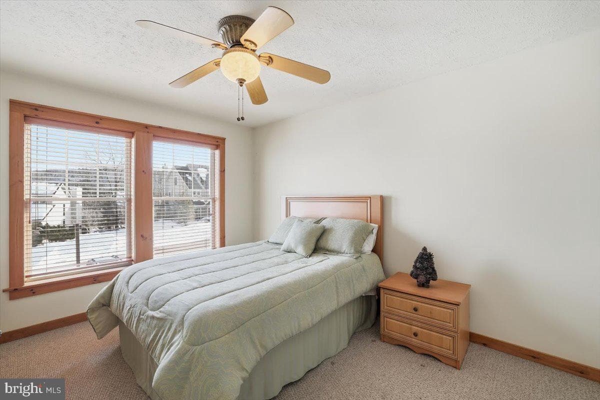 207 Sycamore Court photo 21