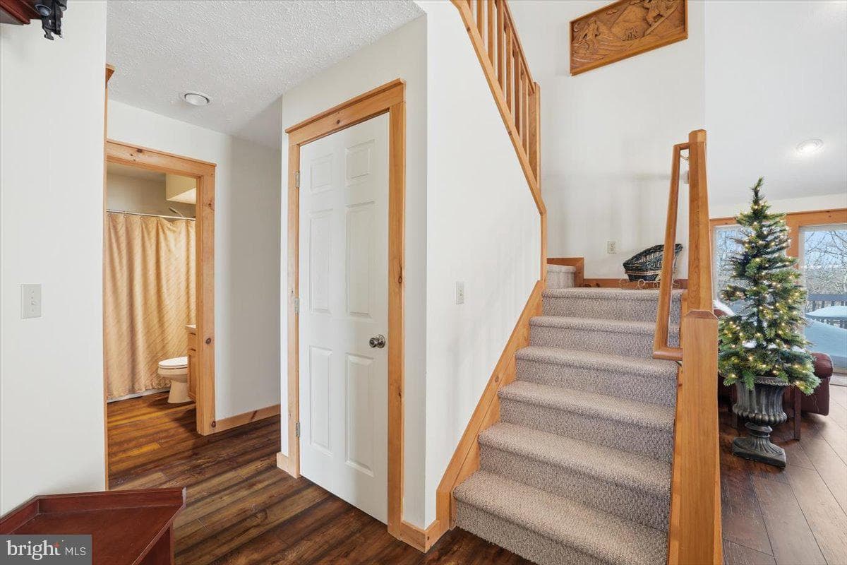 207 Sycamore Court photo 24