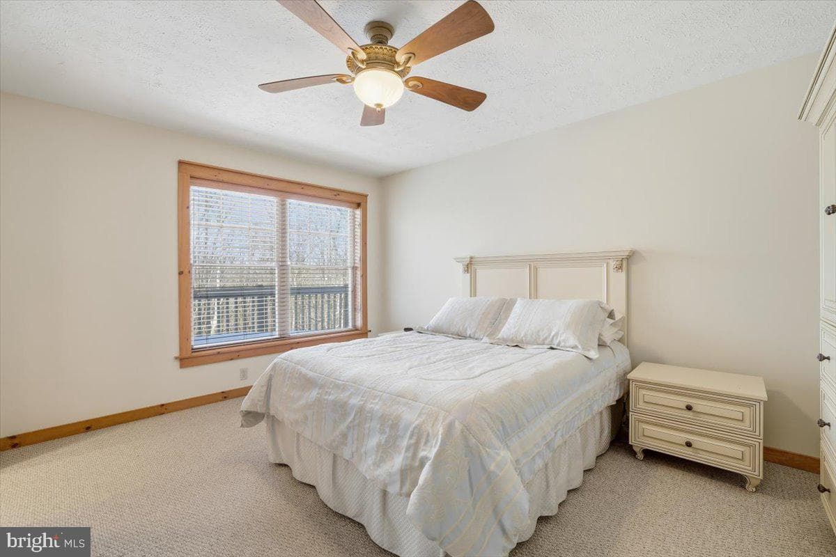 207 Sycamore Court photo 28