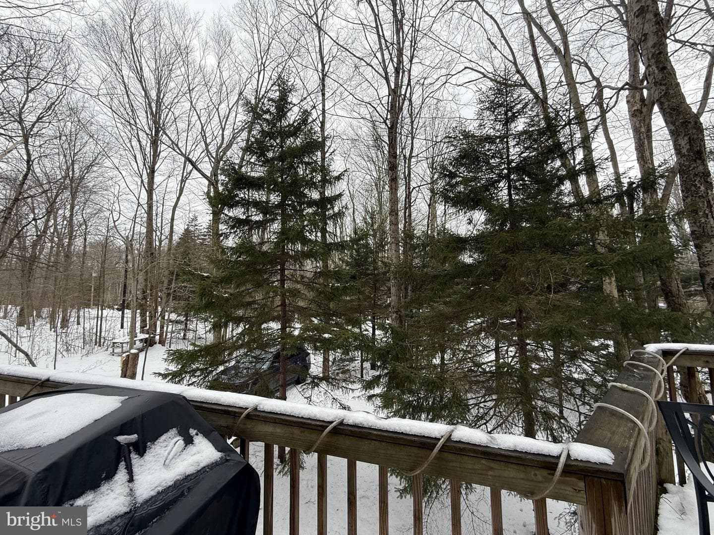 437 Orono Drive photo 8