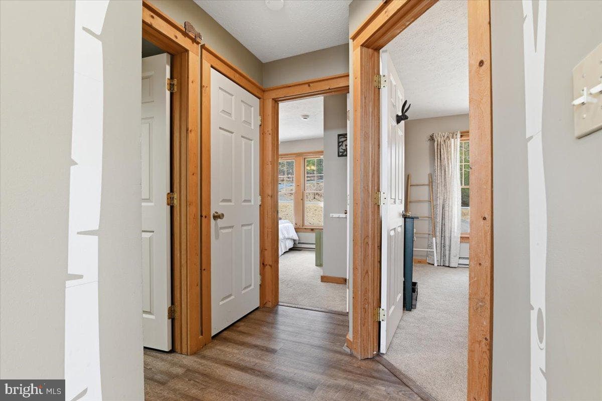 111 High Mountain Lane photo 24