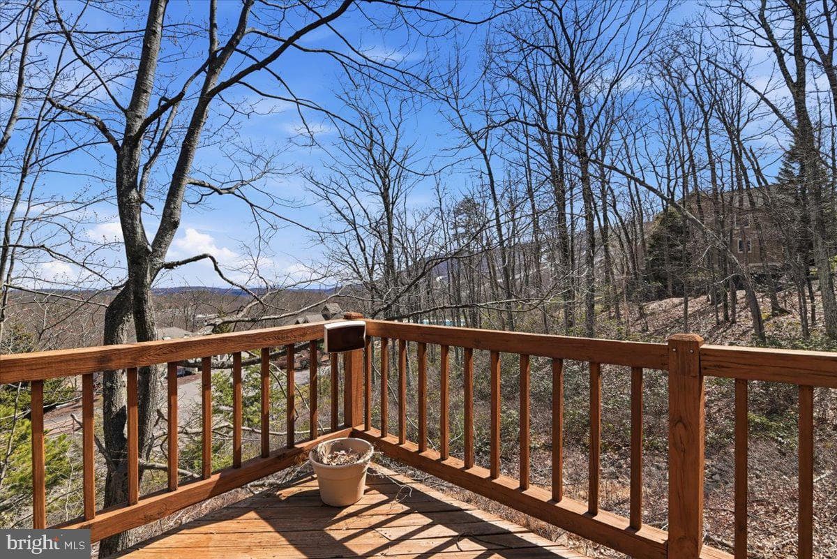 111 High Mountain Lane photo 63