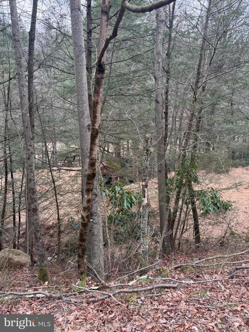 3603 Lakewood Drive, Saylorsburg