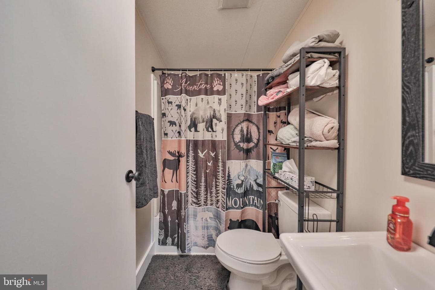 1215 Blue Mountain Circle photo 30