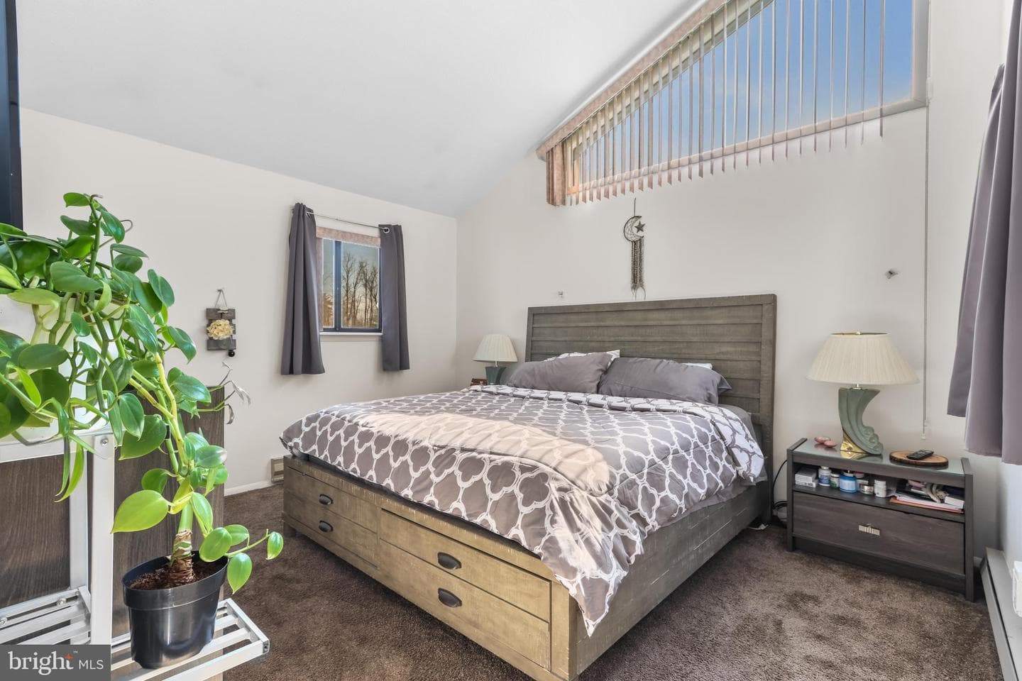 110 Sundew Drive photo 17