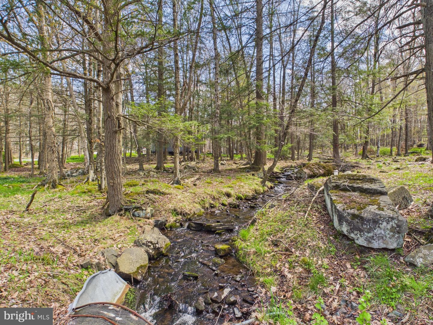 1482 Arrowhead Drive photo 2