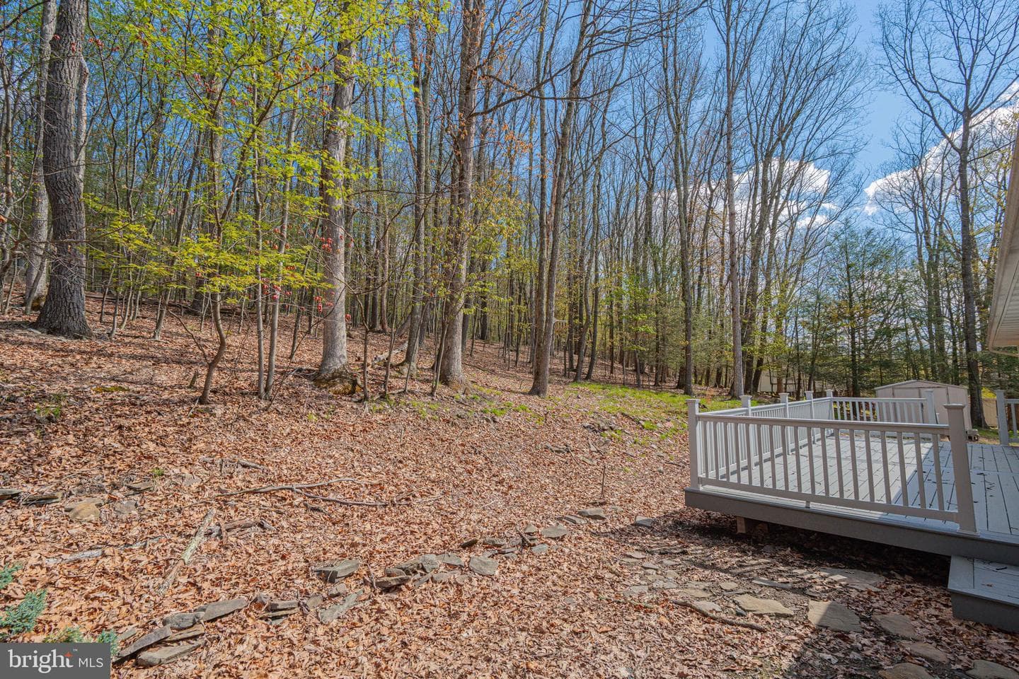 138 Darcy Drive photo 49
