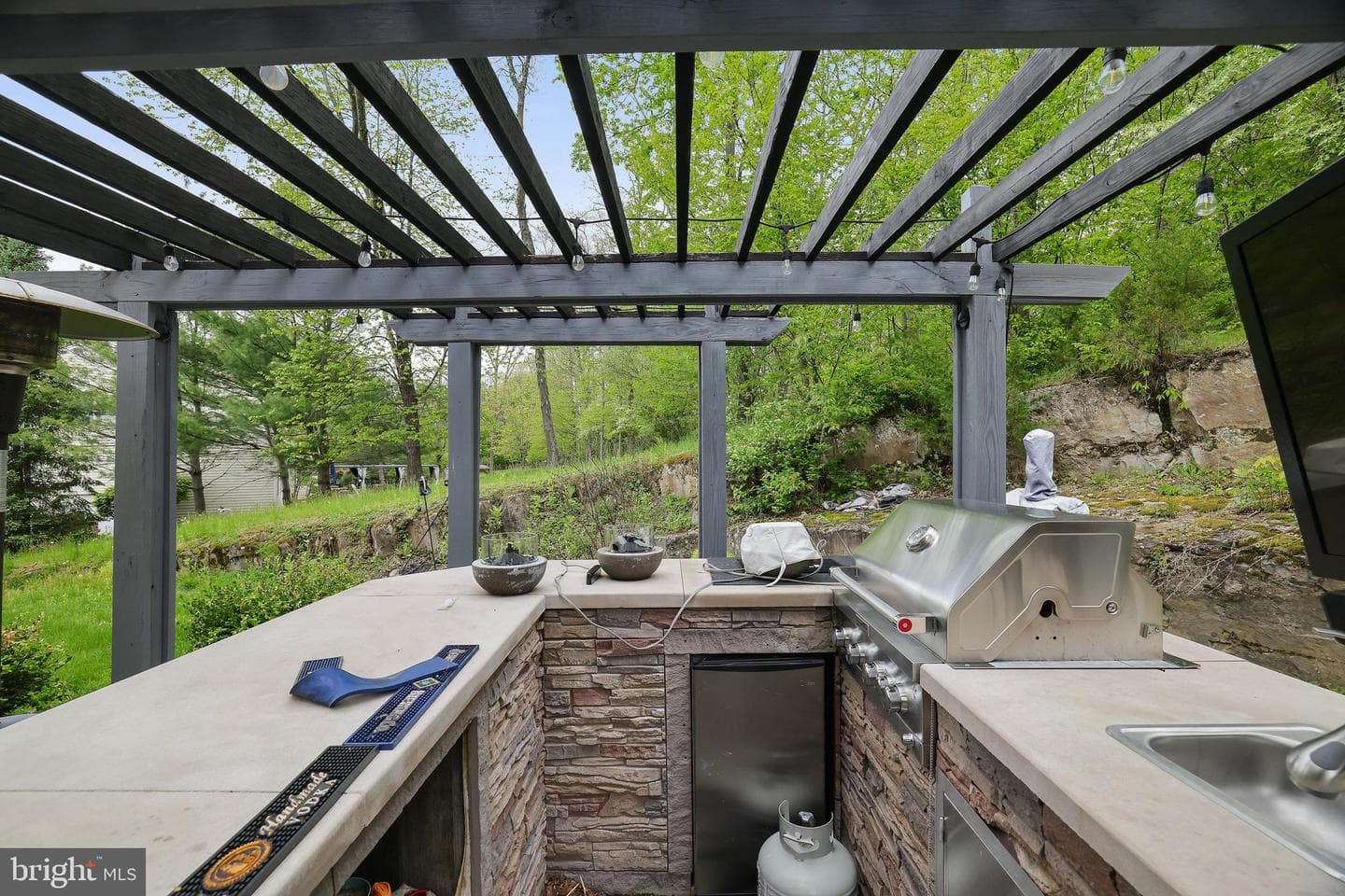 258 Rising Meadow Way photo 11
