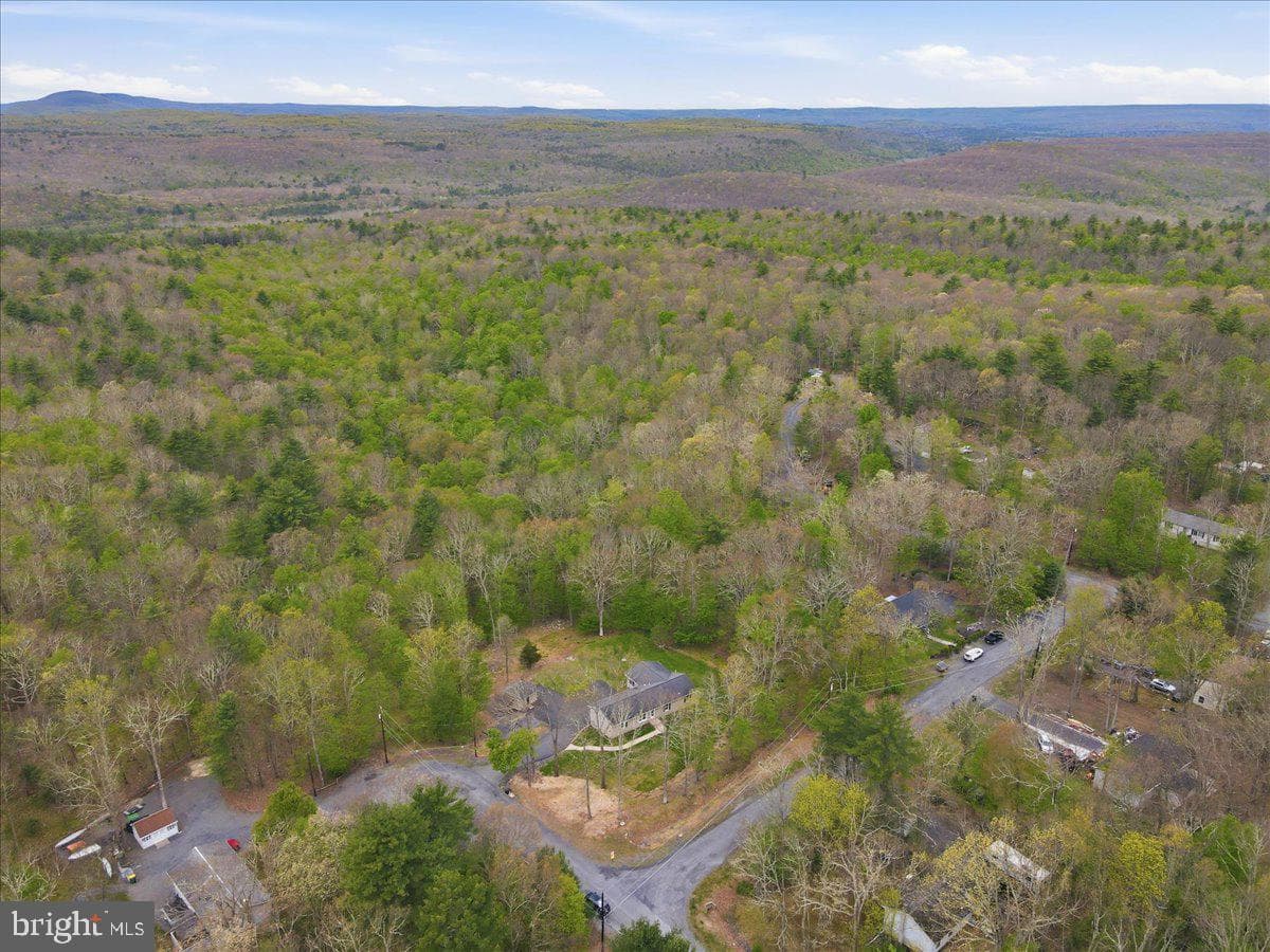58 Brush Drive photo 101