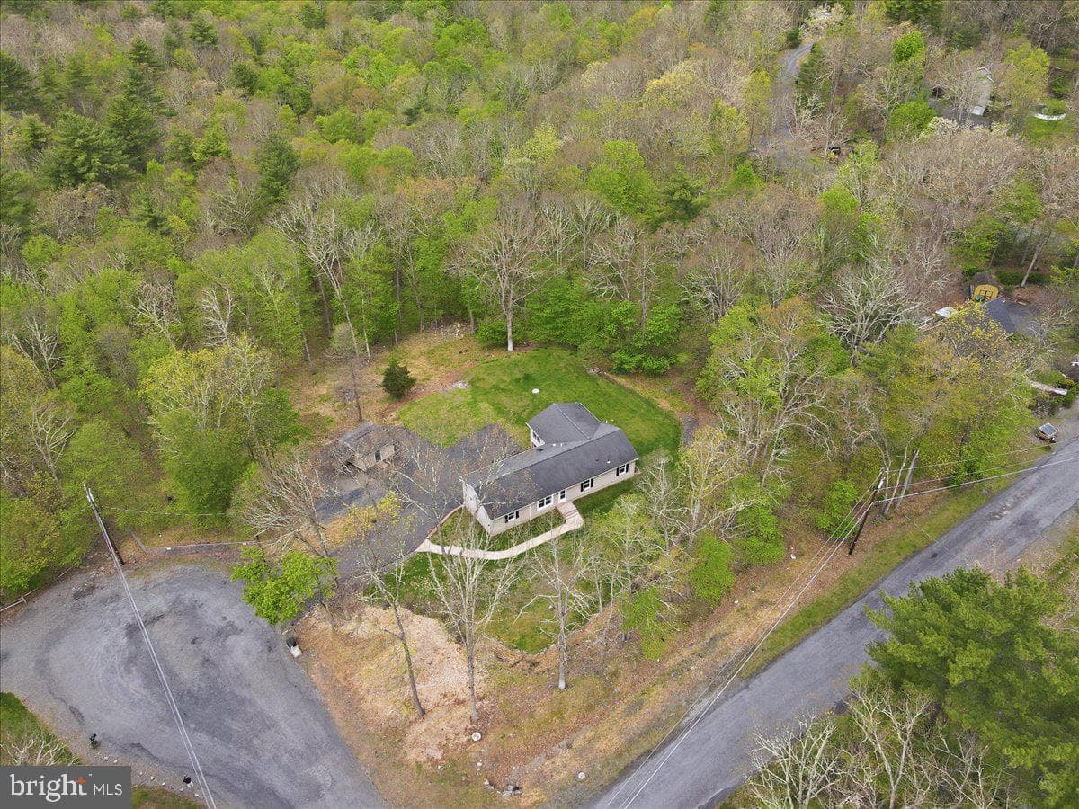 58 Brush Drive photo 96