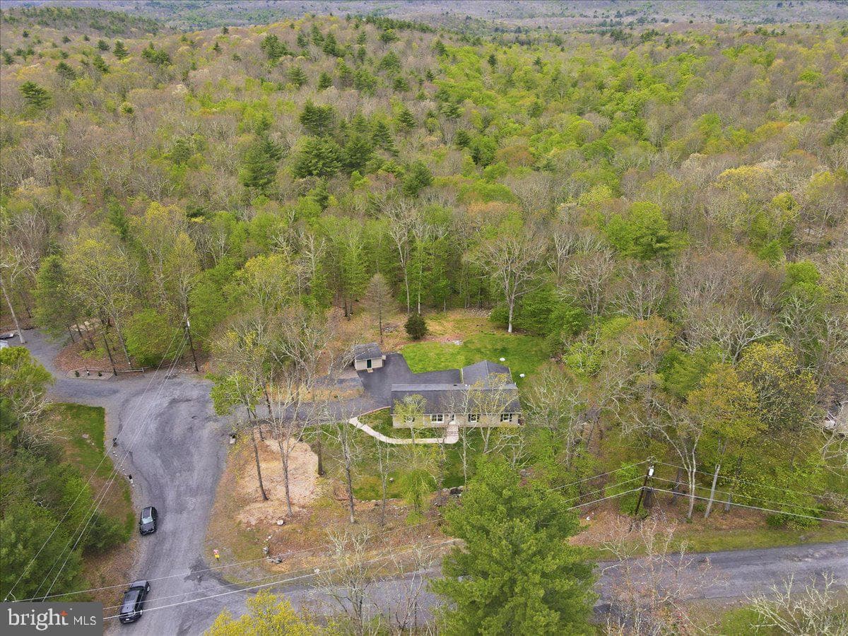 58 Brush Drive photo 98