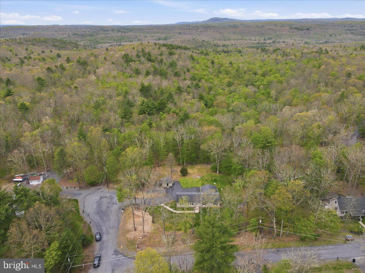58 Brush Drive photo 99
