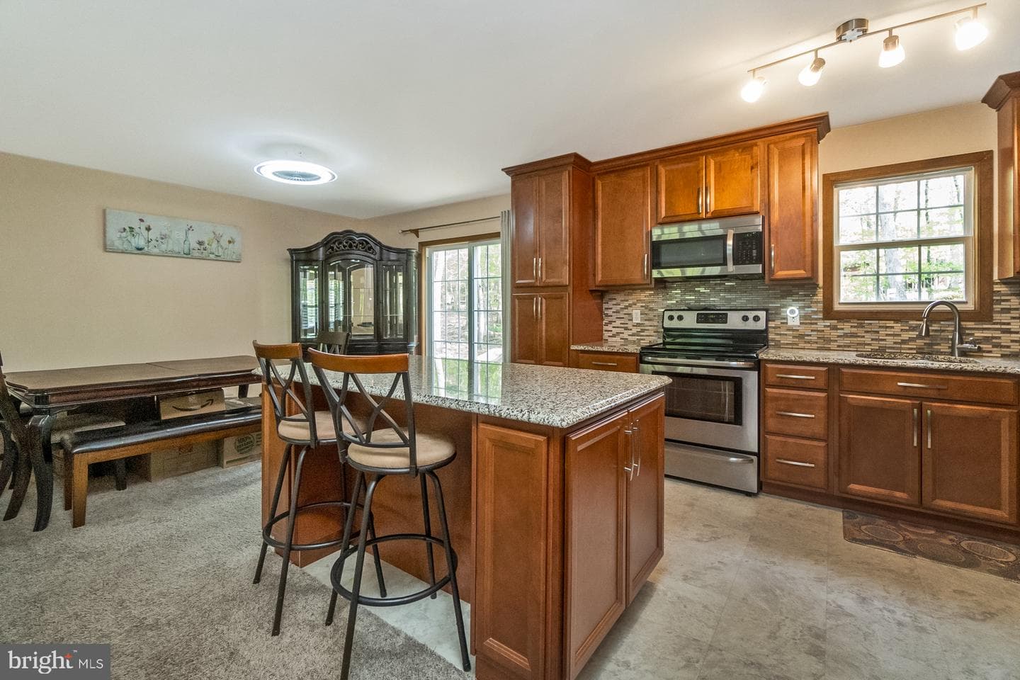 276 Spicebush Dr photo 10