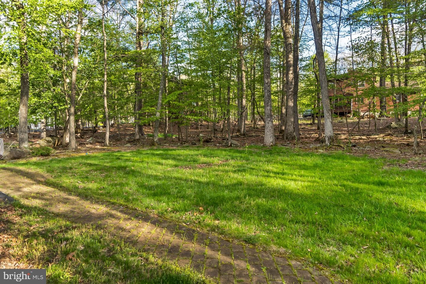 276 Spicebush Dr photo 26