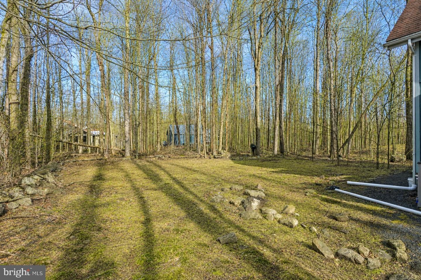 113 Gross Drive photo 29