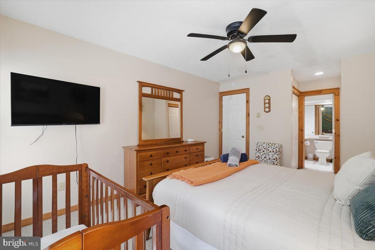151 Pine Court photo 40