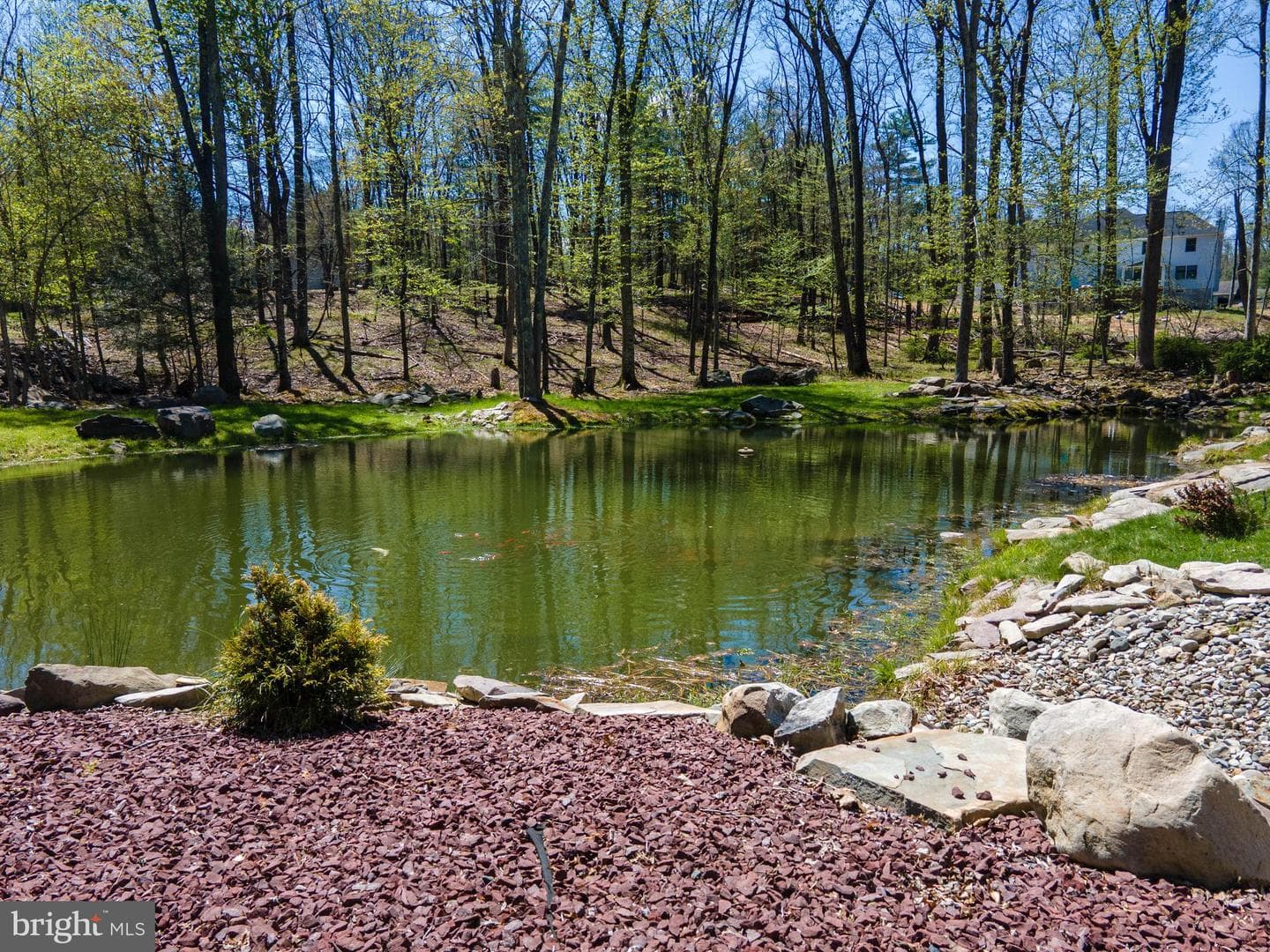 57 Lake Lane photo 63