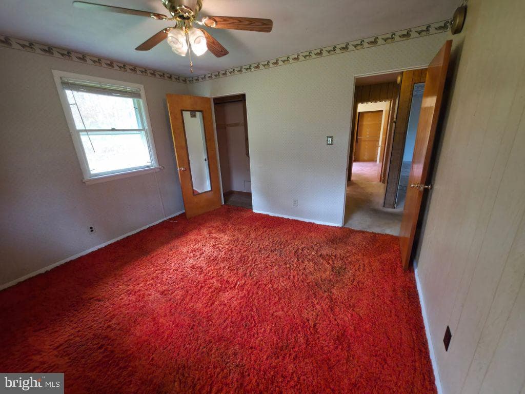 50 Montovision Road photo 8