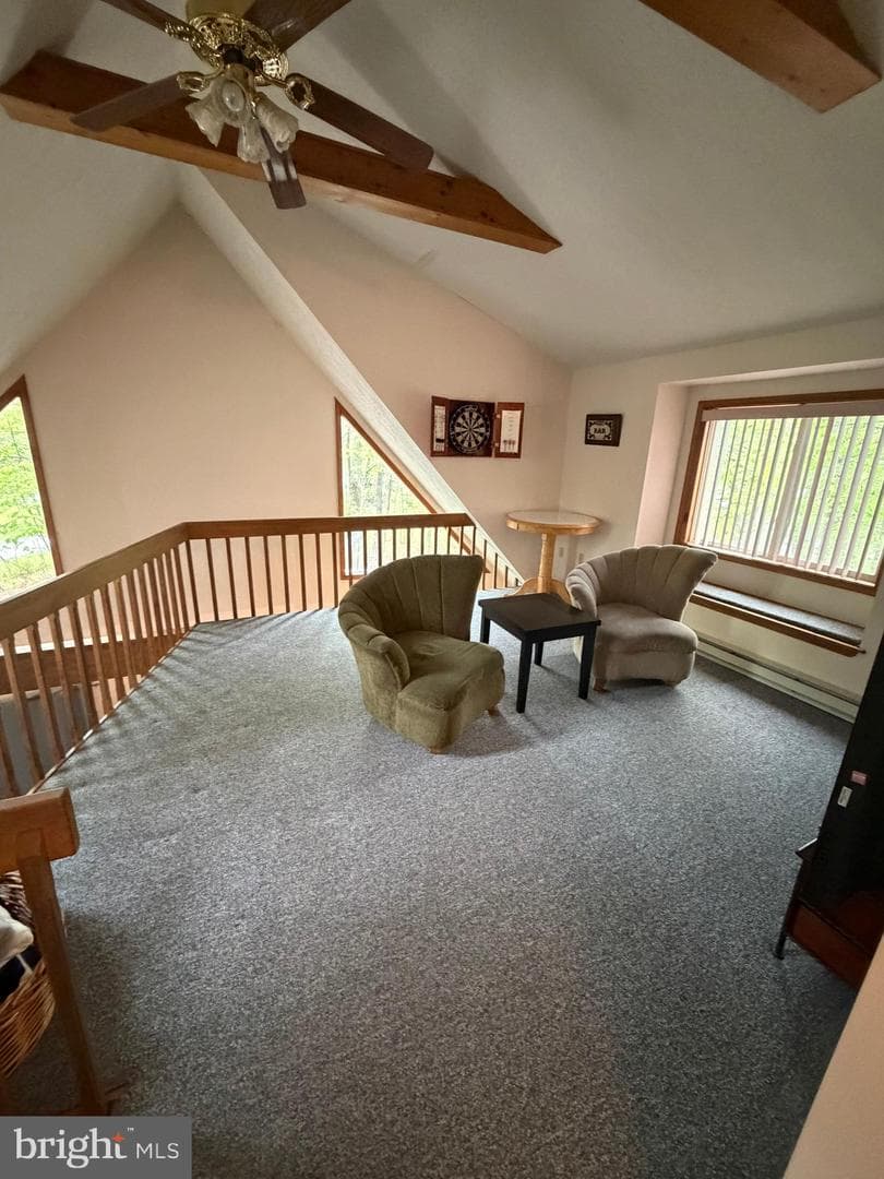 237 Choctaw Drive photo 41