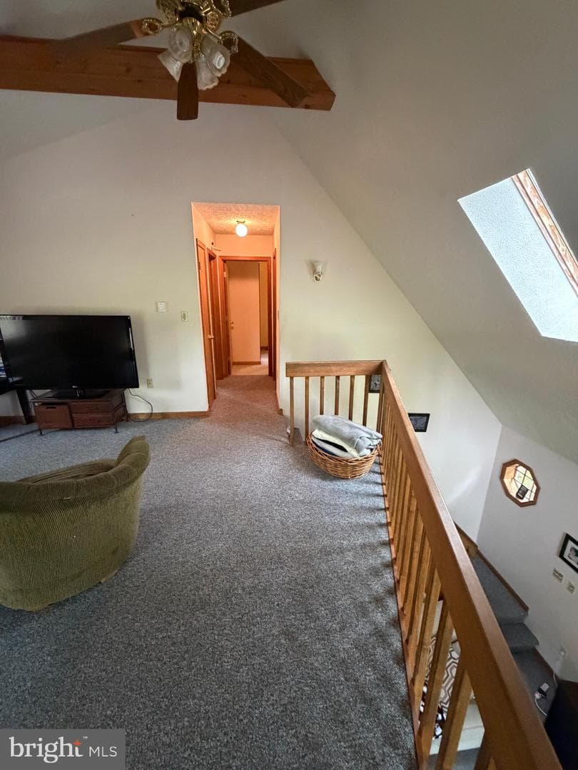237 Choctaw Drive photo 44