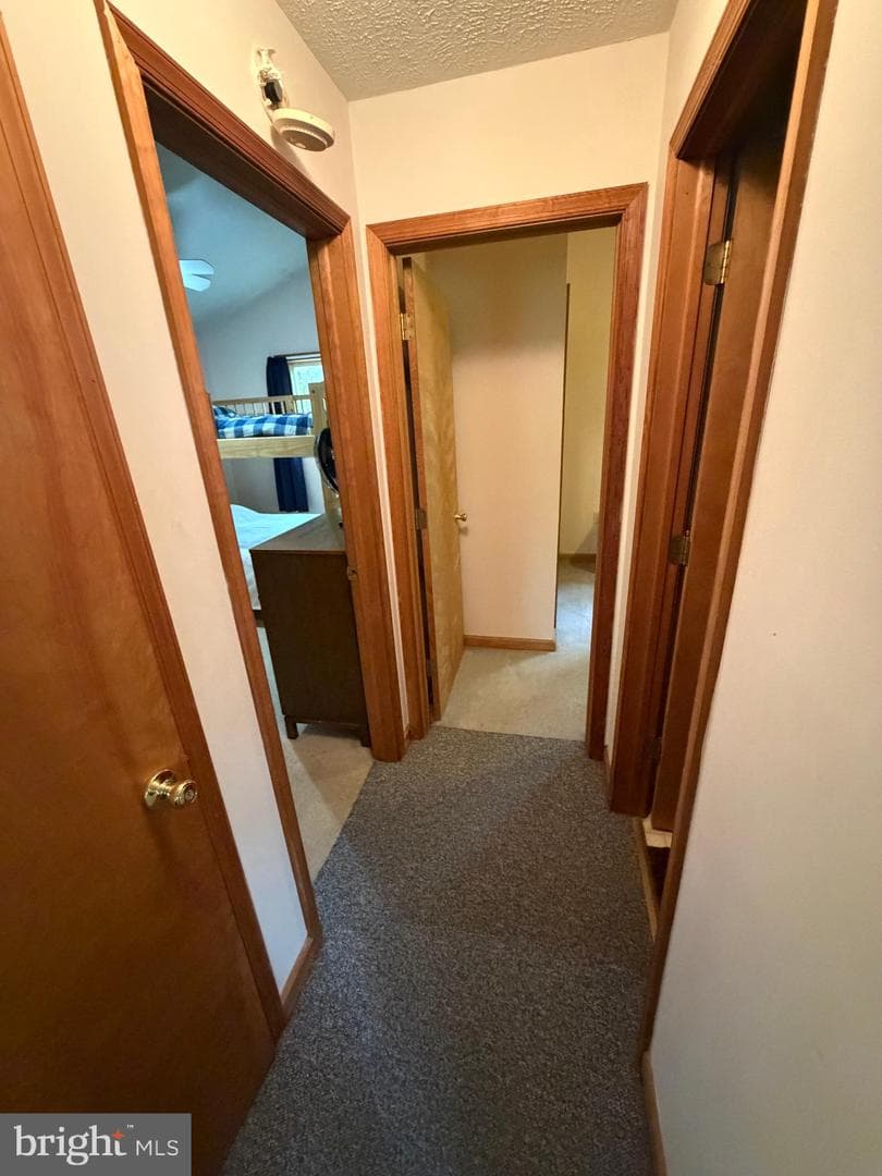 237 Choctaw Drive photo 45