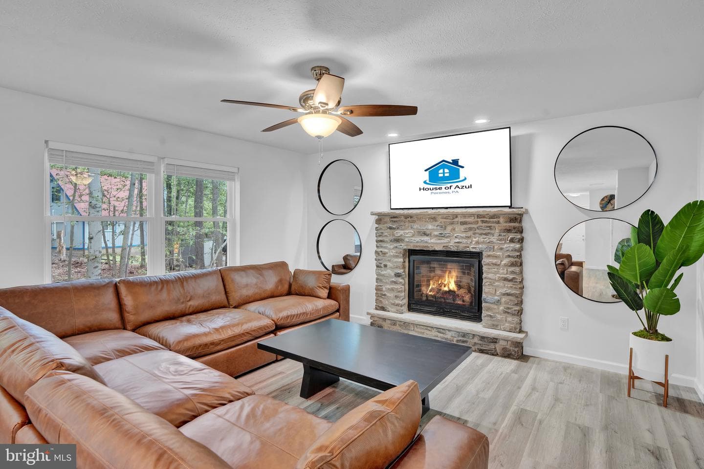 8595 Periwinkle Drive photo 11
