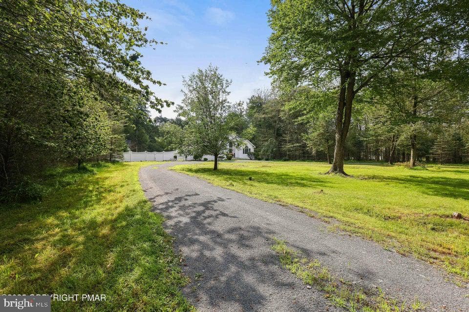 343 High Country Drive photo 37