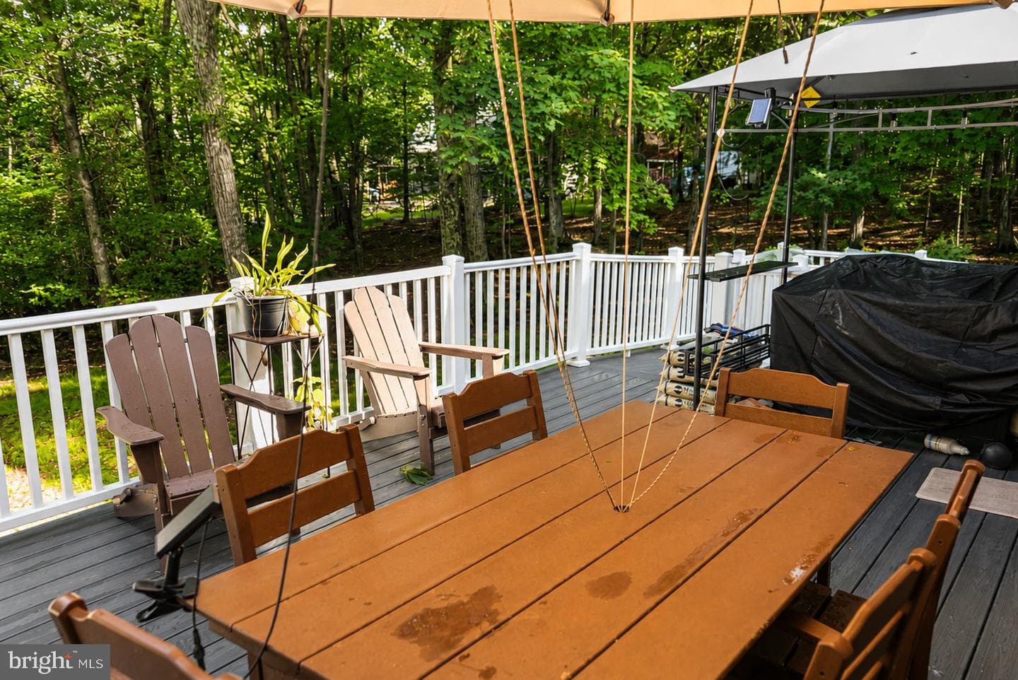 179 Darcy Drive photo 7