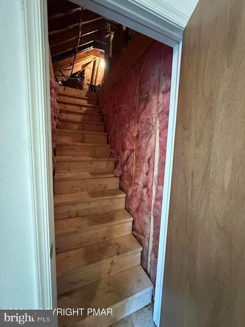 164 Bull Run photo 22