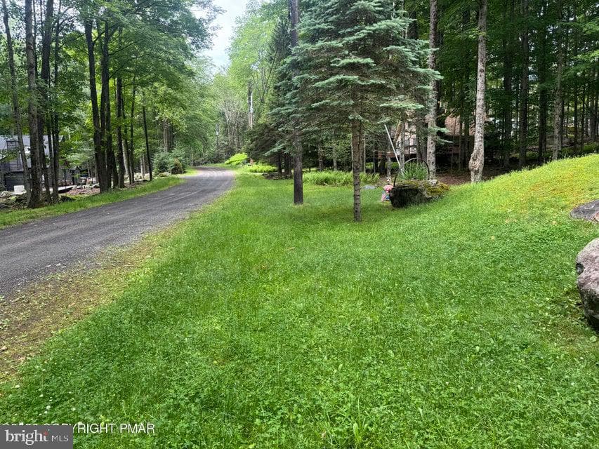 137 Outer Drive photo 49