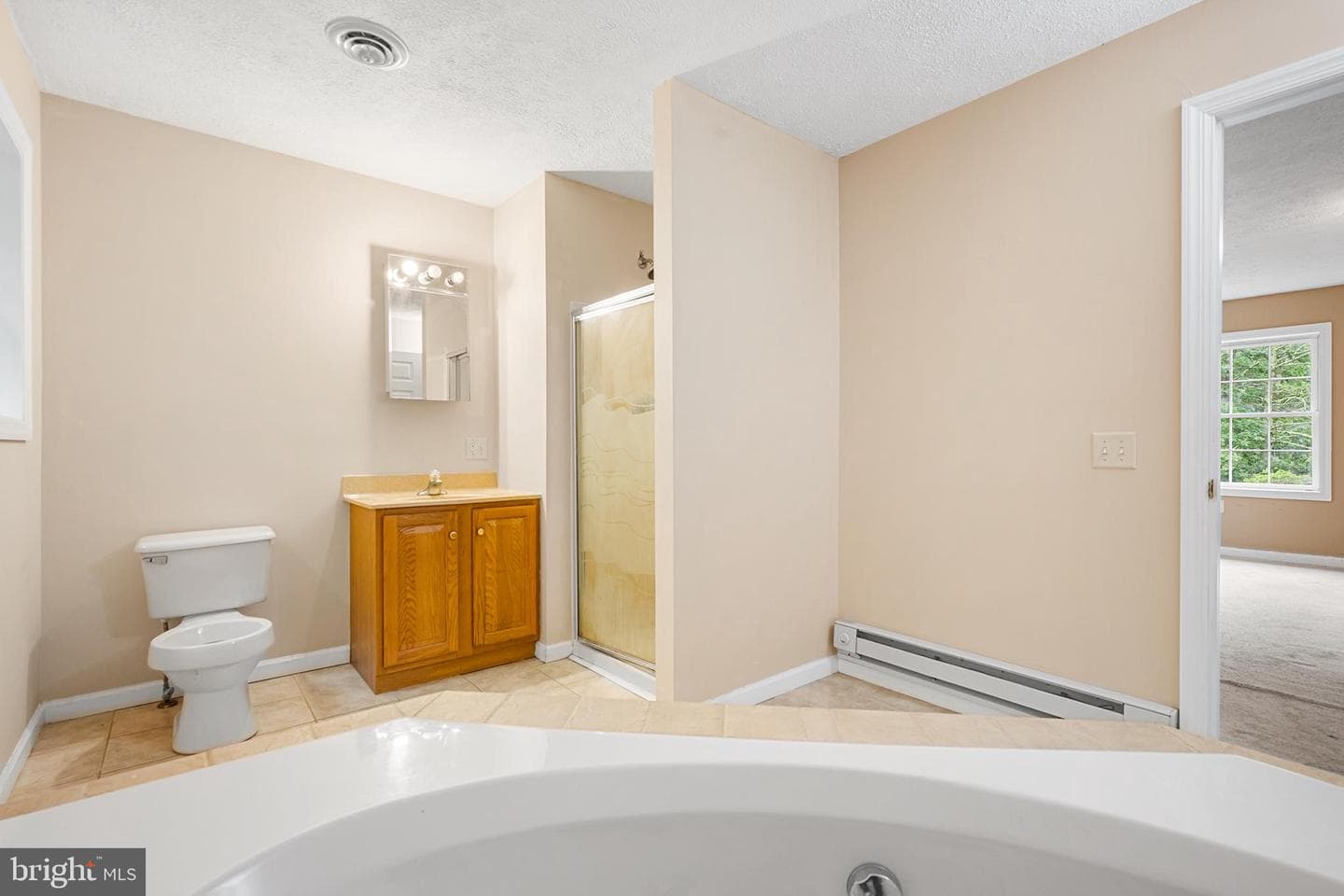 313 Lower Lakeview Drive photo 15