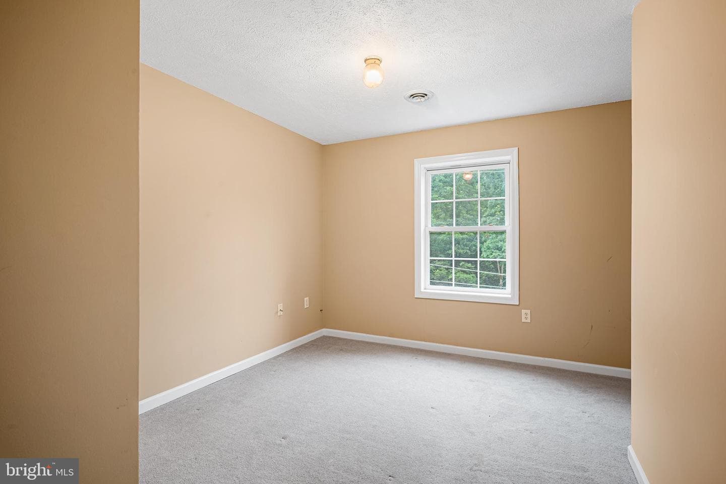 313 Lower Lakeview Drive photo 18