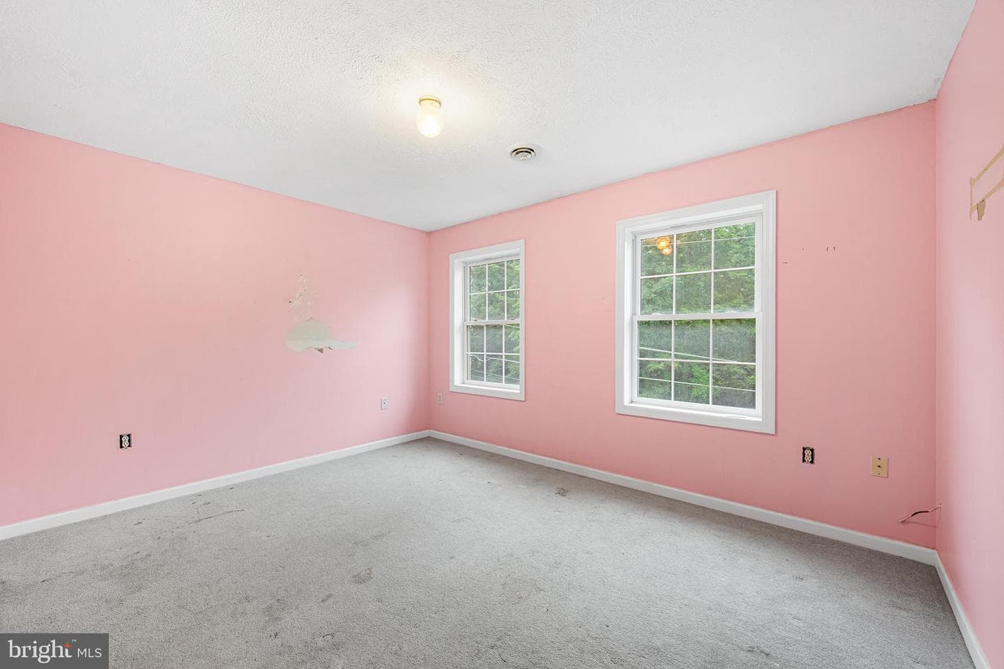 313 Lower Lakeview Drive photo 20