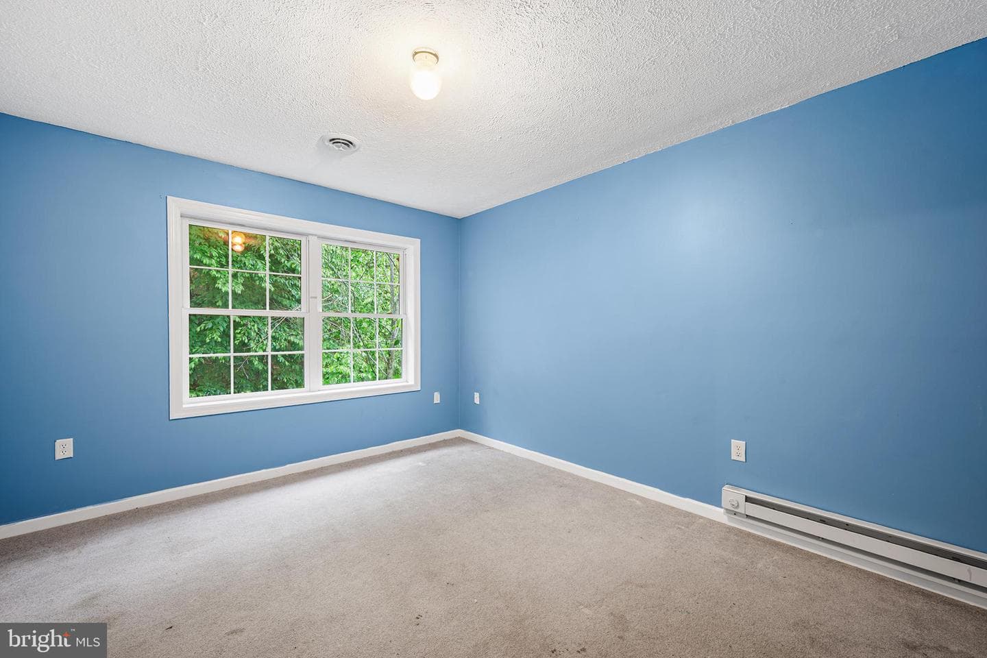 313 Lower Lakeview Drive photo 22