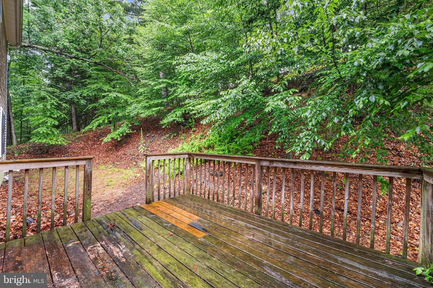 313 Lower Lakeview Drive photo 26
