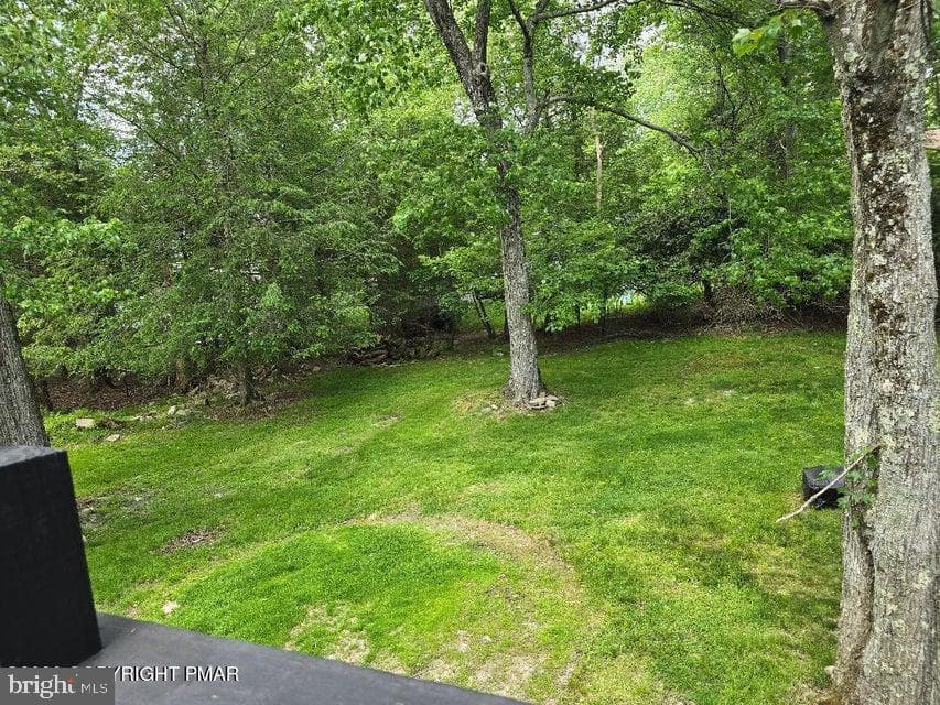 8111 Coco Drive photo 4