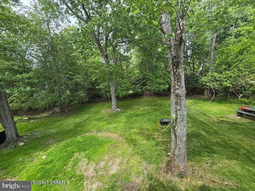 8111 Coco Drive photo 5