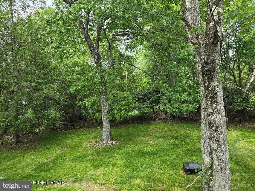 8111 Coco Drive photo 6