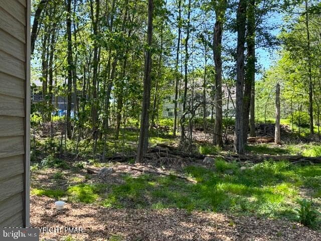 241 Champlain Drive photo 15