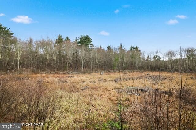 267 Scenic Drive photo 77