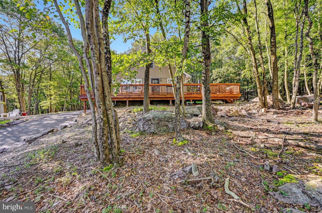 41 Arciel Drive photo 59